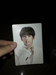 Sharing Mini Photo Card - BTS Official MD MOTS TOUR (TAEHYUNG ONLY)