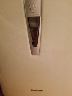 （分類：）位於 。 由 bellashlai 提交（商品編號 1026093320，圖片 1）。簡介： 。