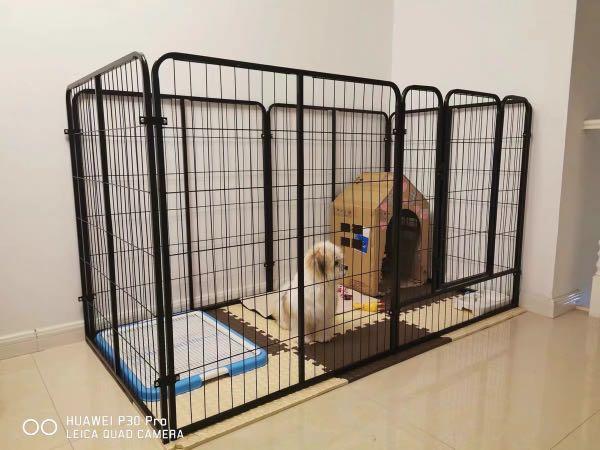 dog cage small breed