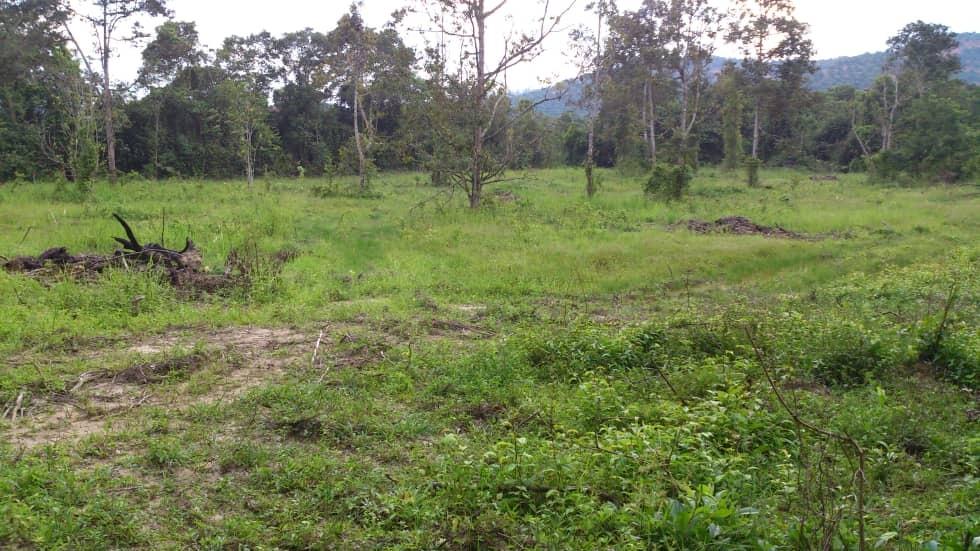 Tanah Pertanian 3 Ekar Di Serting Tengah Negeri Sembilan Property For Sale On Carousell
