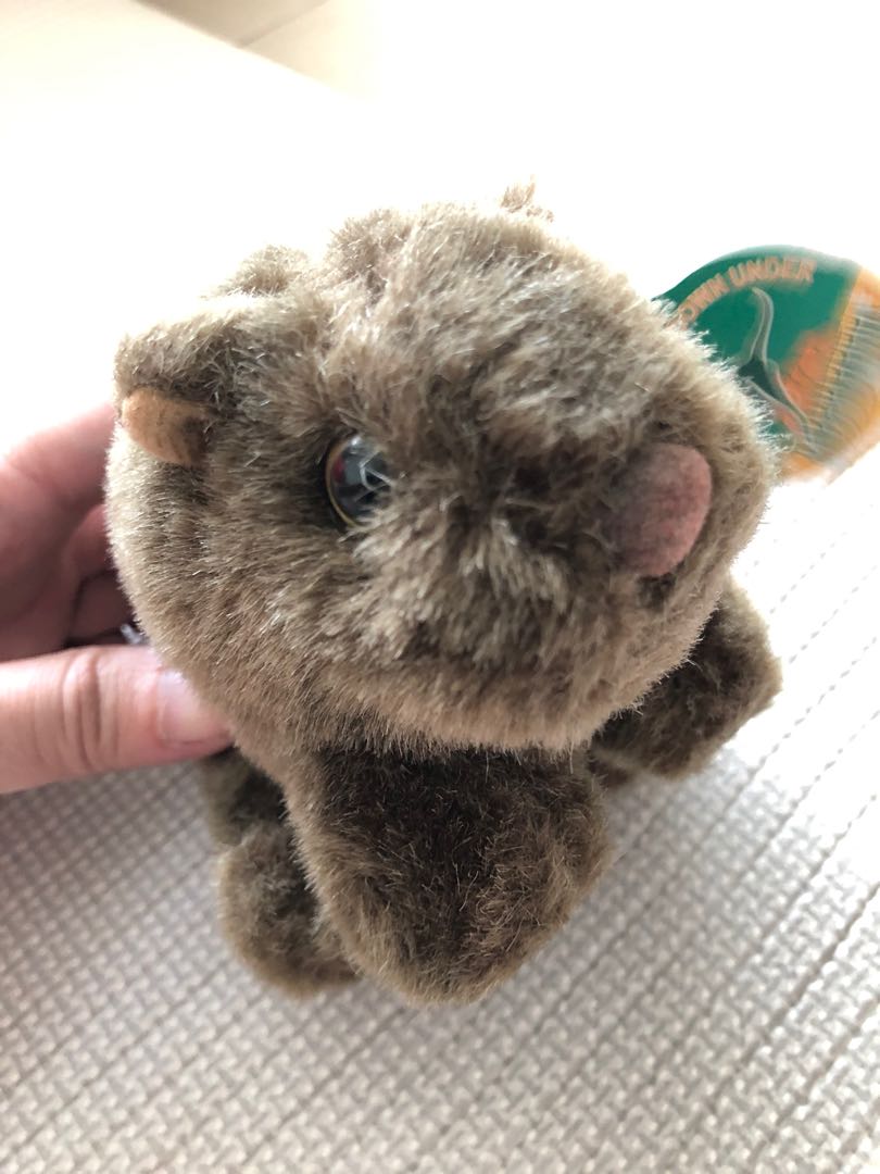 wombat cuddly toy