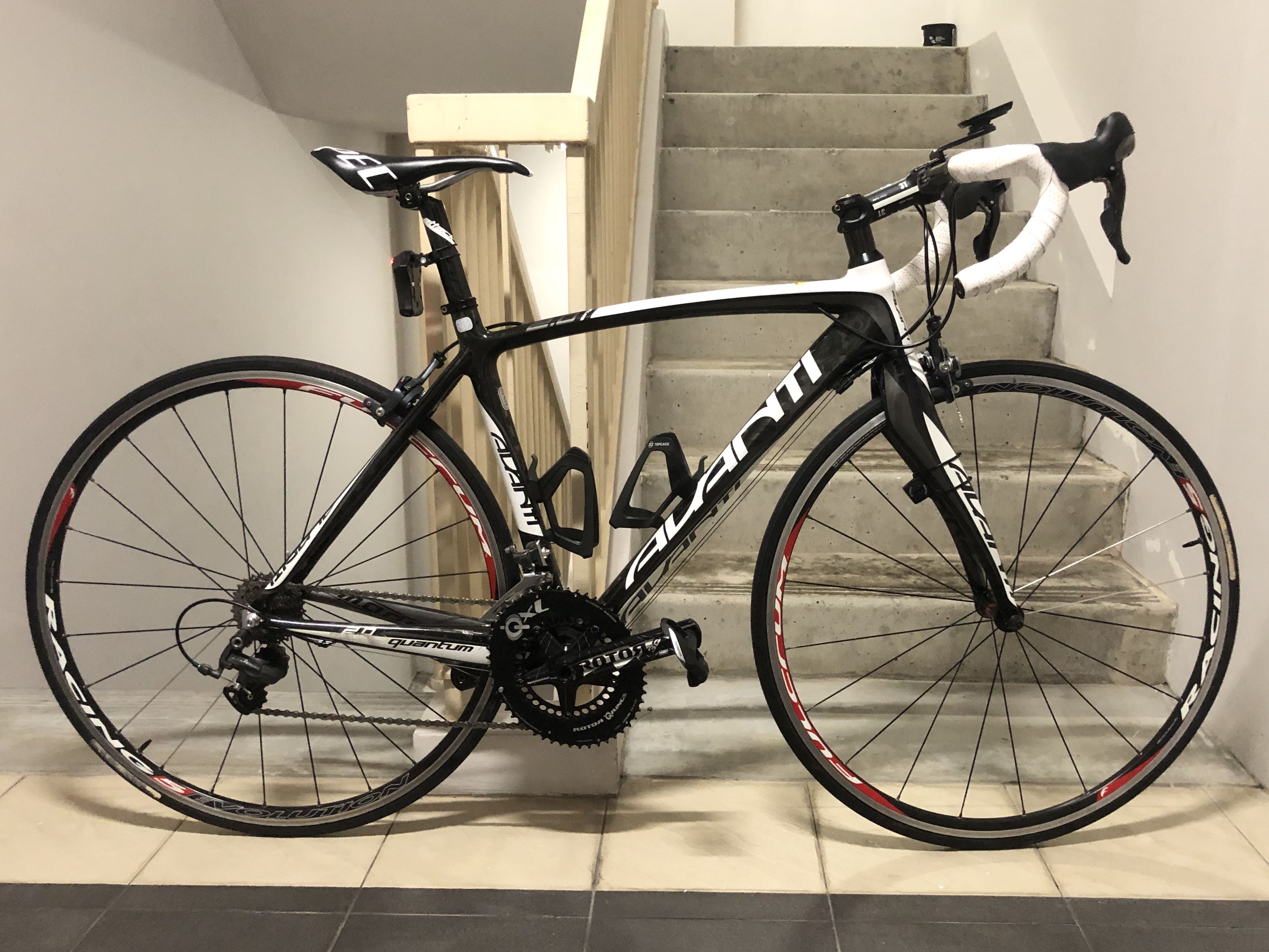 Avanti carbon road bike store
