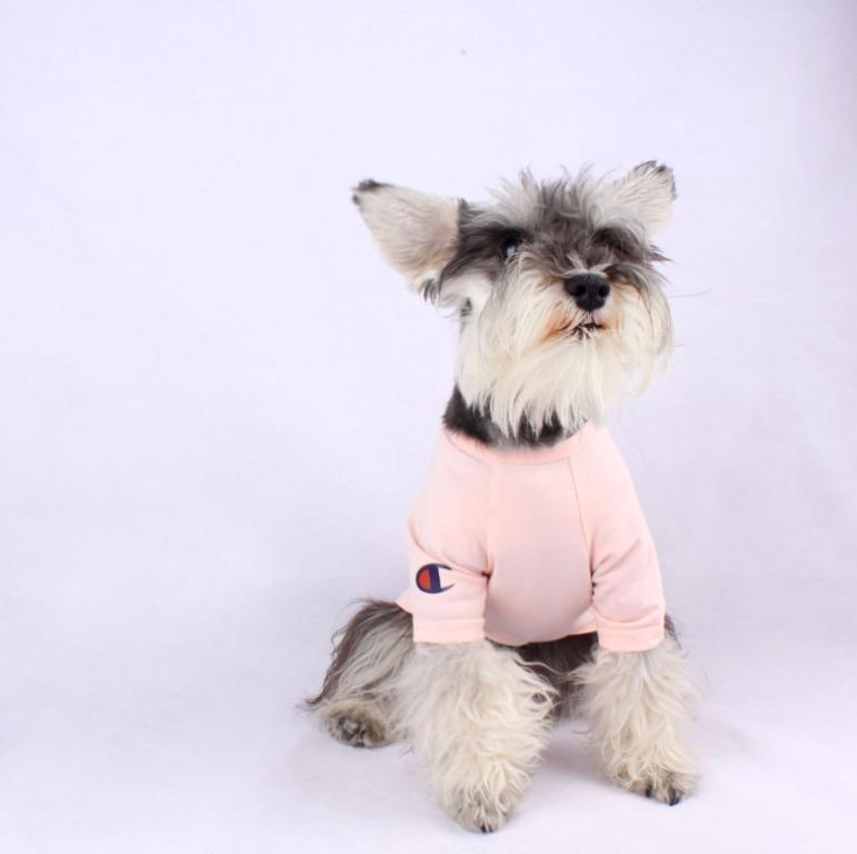 Champion Pet Shirt Pet Supplies Homes Other Pet Accessories on