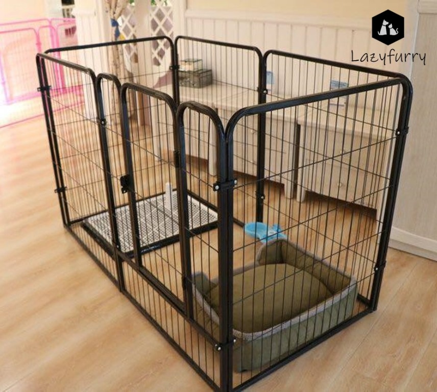 Beagle cage outlet