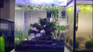 (Category: ) located in . Submitted by m.razali (Listing ID 1026435111, Image 1). Description: .