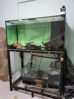 (Category: ) located in . Submitted by rajesregu (Listing ID 1026421372, Image 1). Description: .