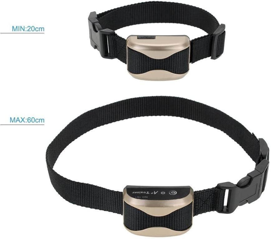 Marsboy dog training collar clearance