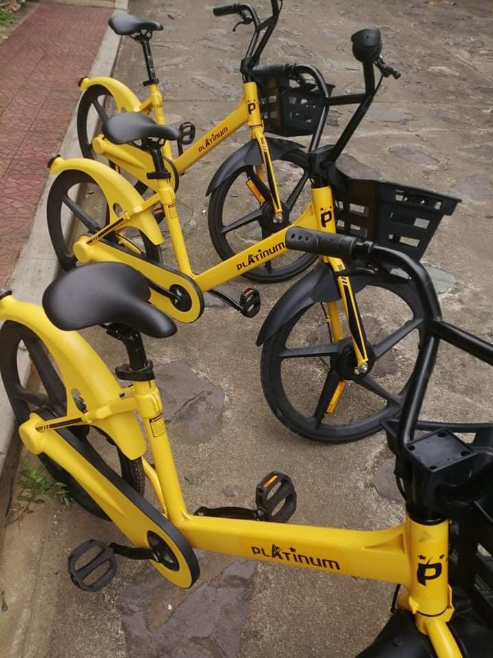 ofo platinum bike