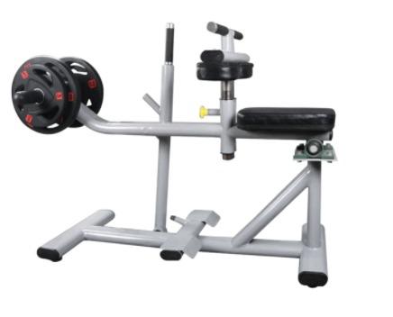 Buy seated hotsell calf raise machine