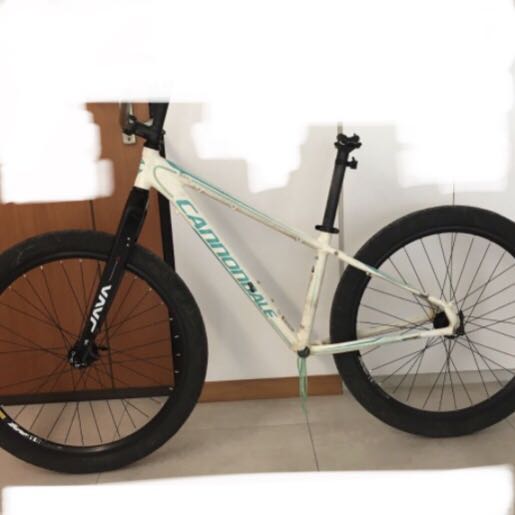 cannondale petite frame size