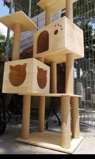 Cat Condo