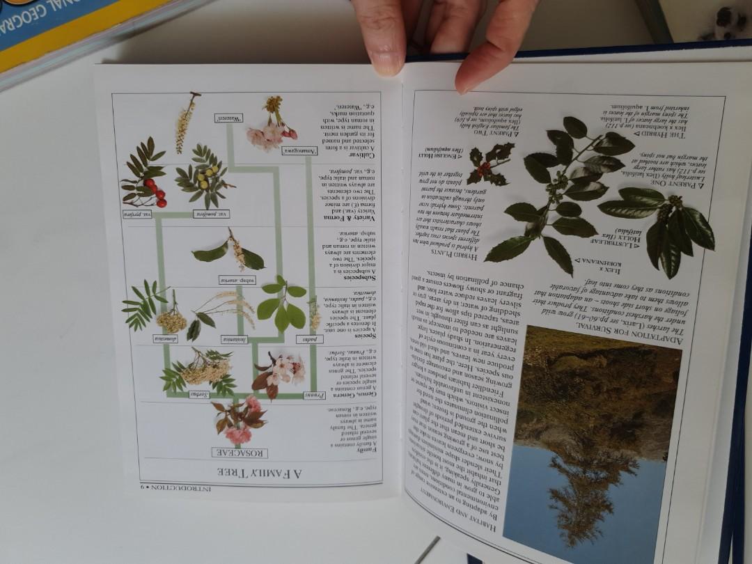 DK Science Encyclopedia (2 books), Hobbies & Toys, Books & Magazines ...