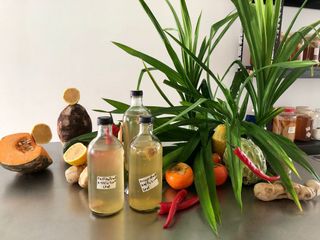 (Category: ) located in . Submitted by kombucha_moon (Listing ID 1026585480, Image 1). Description: .