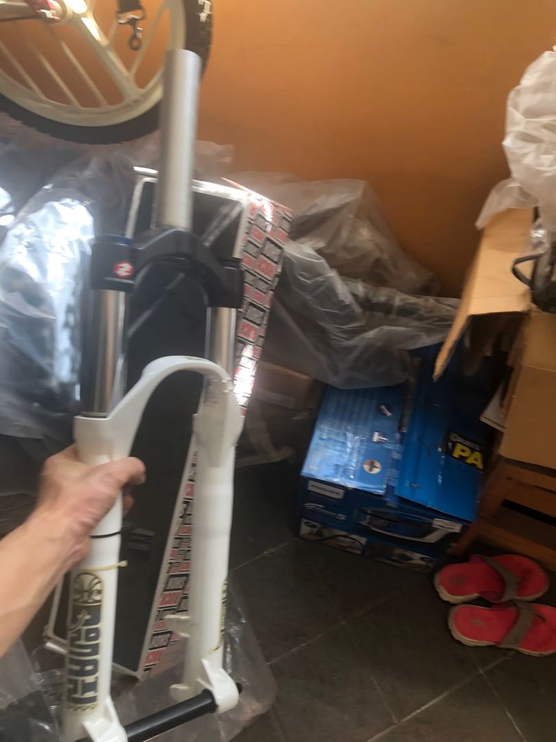 rockshox domain 318