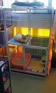 （分類：）位於 。 由 tweety1111 提交（商品編號 1026898833，圖片 1）。簡介： 。