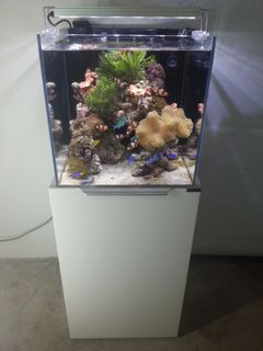 (Category: ) located in . Submitted by aquaticstyle (Listing ID 1026868921, Image 1). Description: .