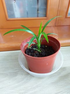 （分類：）位於 。 由 eddy7272 提交（商品編號 1026793516，圖片 1）。簡介： 。