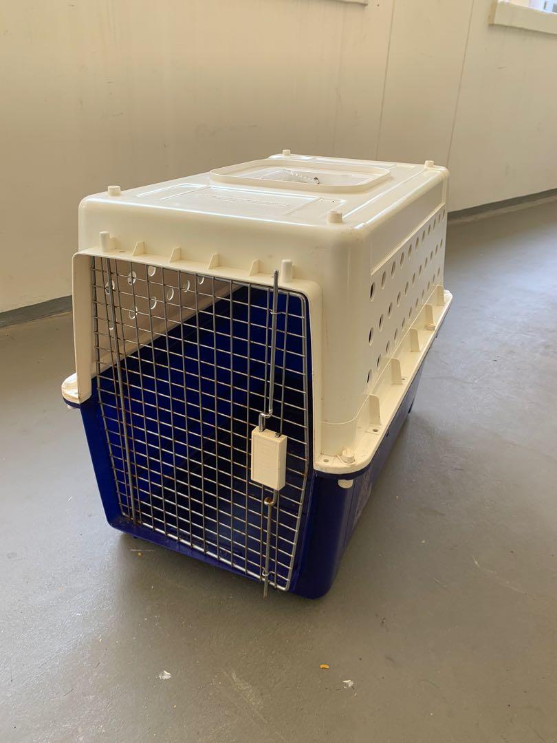 pp40 dog crate