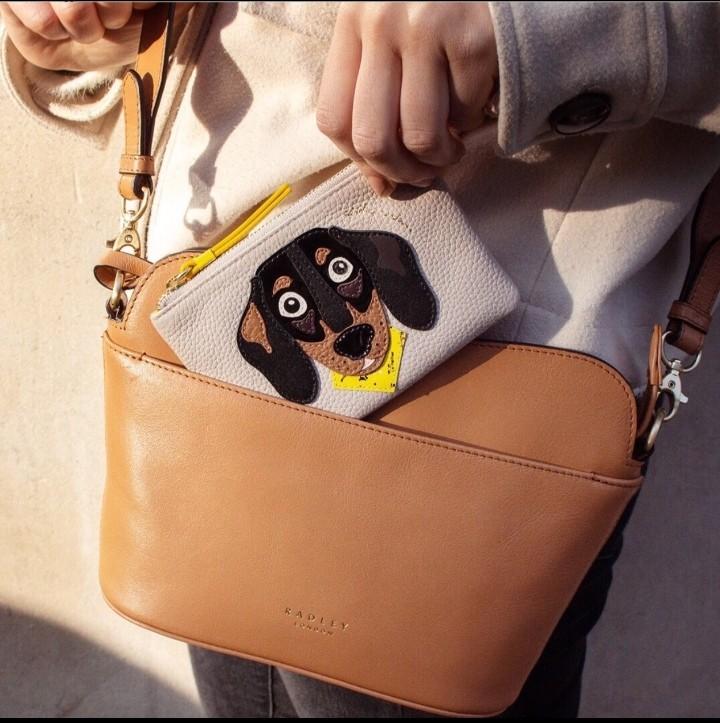 radley and friends bag