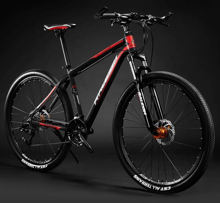 Raleigh 21 sales speed mountain bike