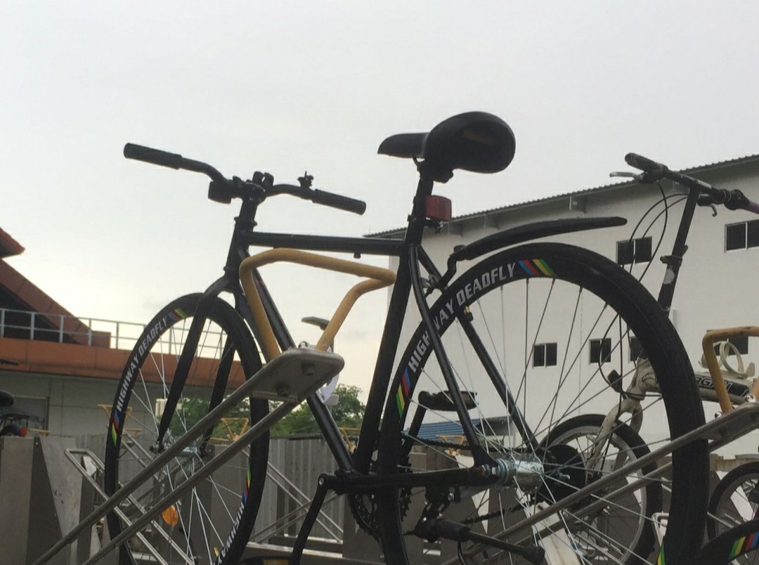 Road bike [Highway DeadFly], Sports 