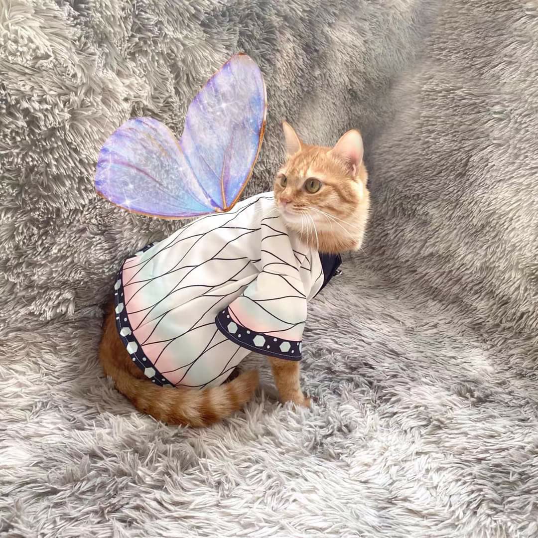 Cute cat cosplay hotsell