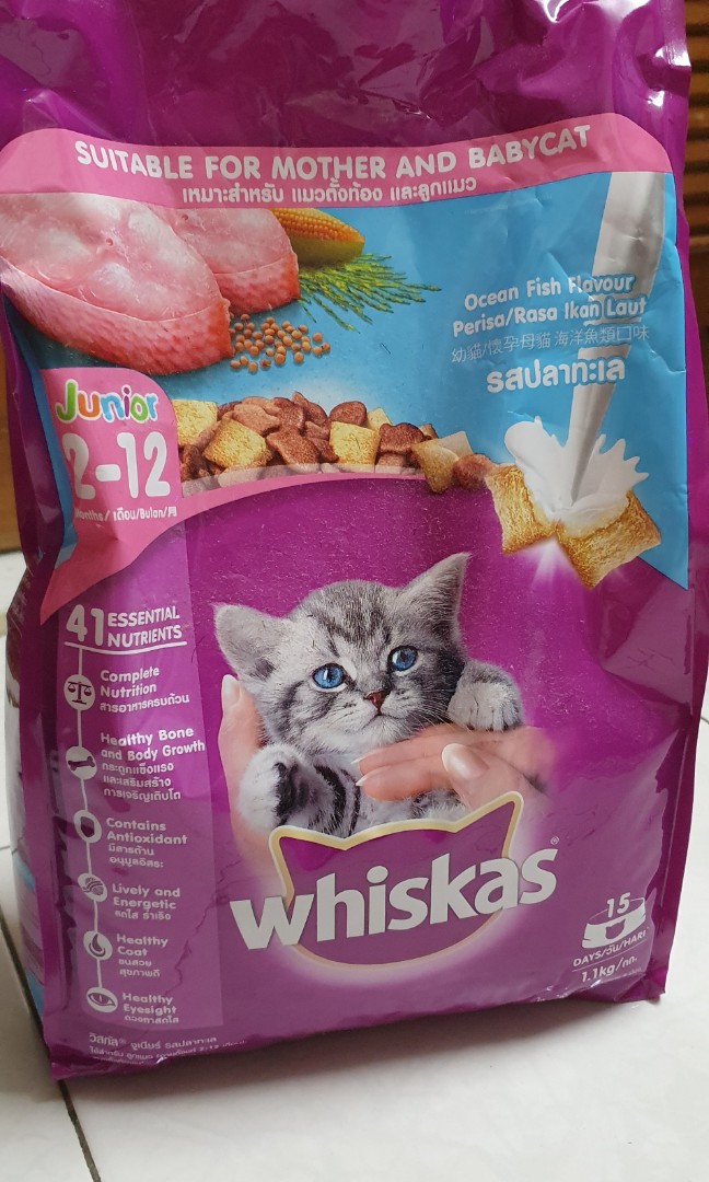 Whiskas junior ocean fish top
