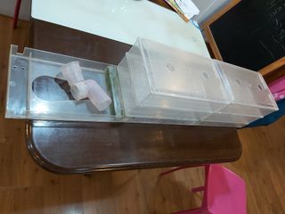 (Category: ) located in . Submitted by ac1633 (Listing ID 1027101640, Image 1). Description: .