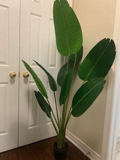 5’ Birds of Paradise faux plant- BRAND NEW