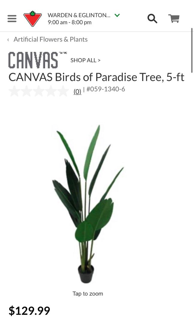 5’ Birds of Paradise faux plant- BRAND NEW