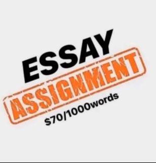 Assignment / Essay Help