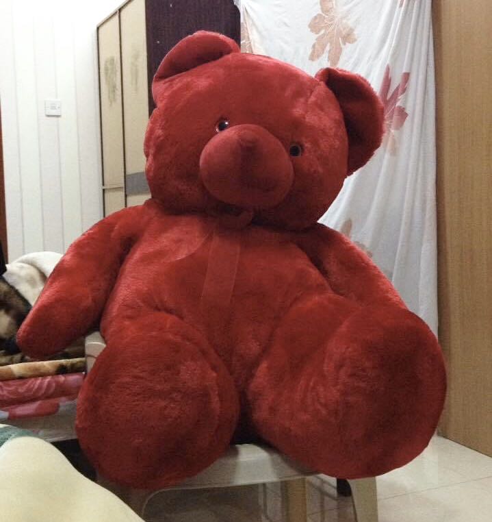 red big teddy