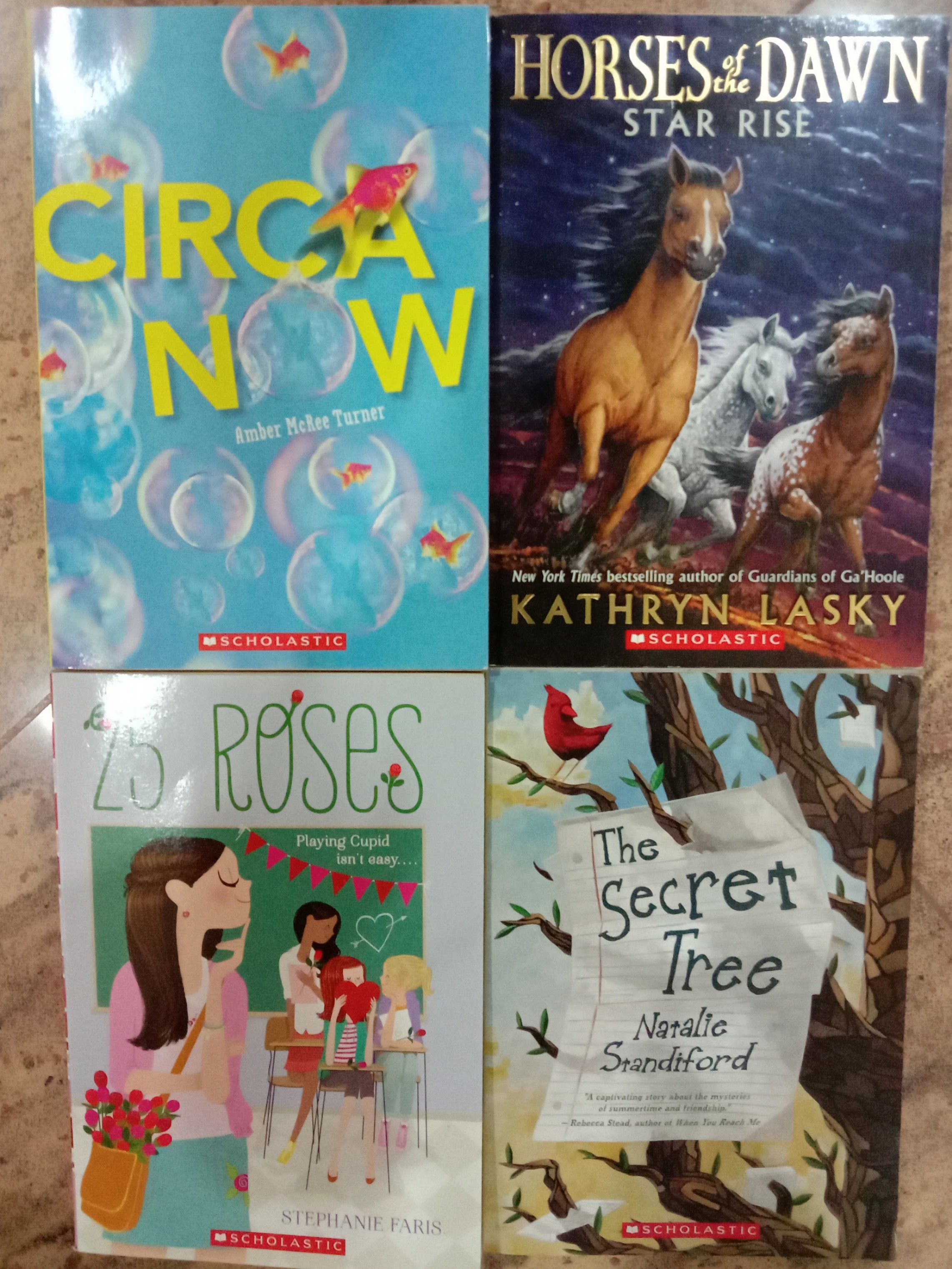 Ready Stock Circa Now By Amber Mcree Turner Horses Of The Dawn Star Rise By Kathryn Lasky 25 Roses By Stephanie Faris The Secret Tress By Natalie Standiford Books Stationery Books