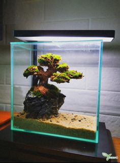 (Category: ) located in . Submitted by yugen.scape (Listing ID 1027172138, Image 1). Description: .