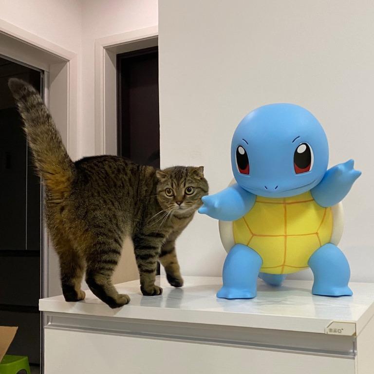 Squirtle on sale cat costume