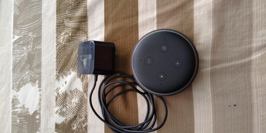 echo dot audio in