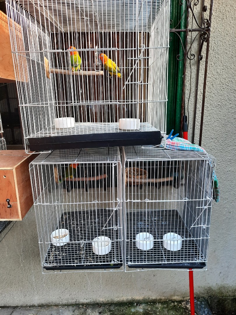 cpu type cage