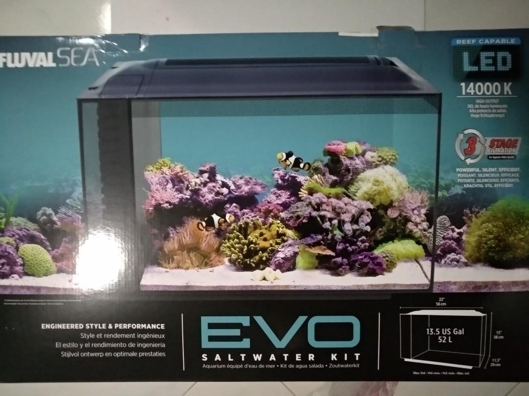 Fluval sea evo clearance 52l aquarium kit