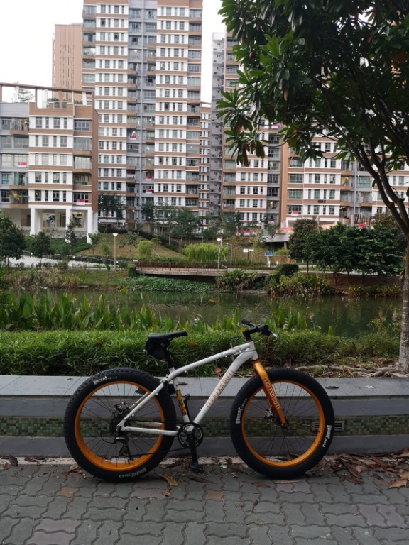 Giant momentum iride rocker 3 fat bike on sale