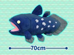 coelacanth plush