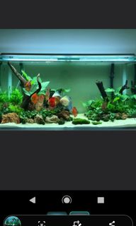 (Category: ) located in . Submitted by eco_art1 (Listing ID 1034400733, Image 1). Description: .