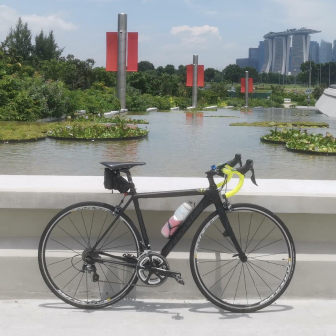 Cannondale caad 10 2017 store