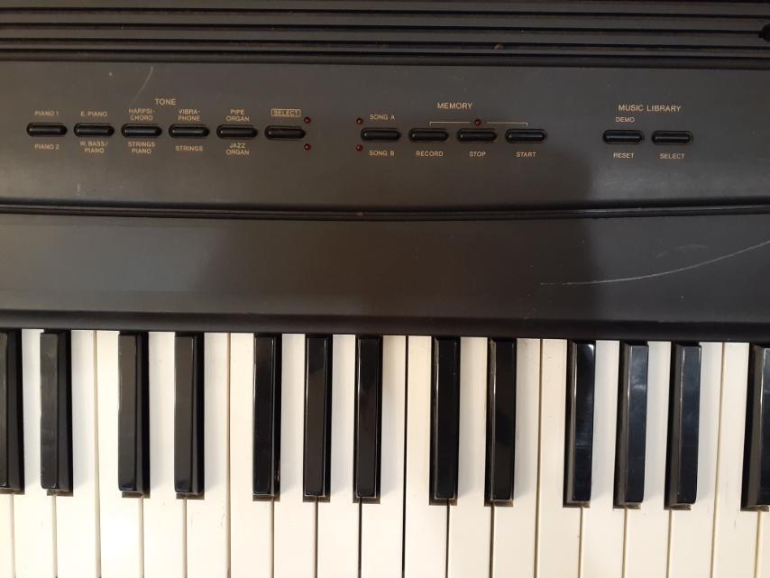 Casio CPS80s, Hobbies & Toys, Music & Media, Musical Instruments on