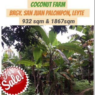 Coco Land for Sale