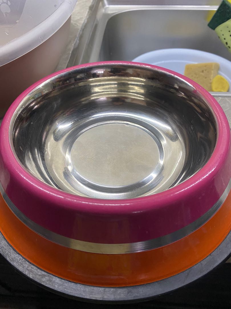 dog food bowl