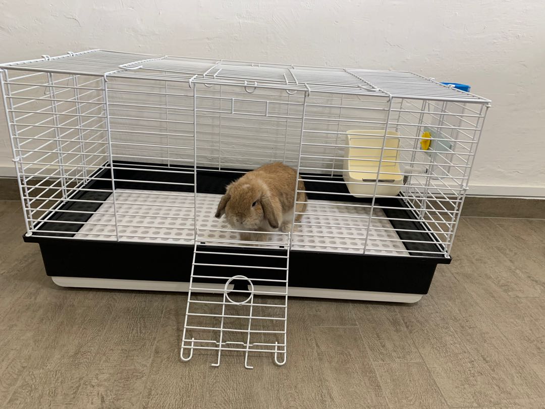 Extra Large Rabbit Cage with pull out drawers, Pet Supplies, Homes