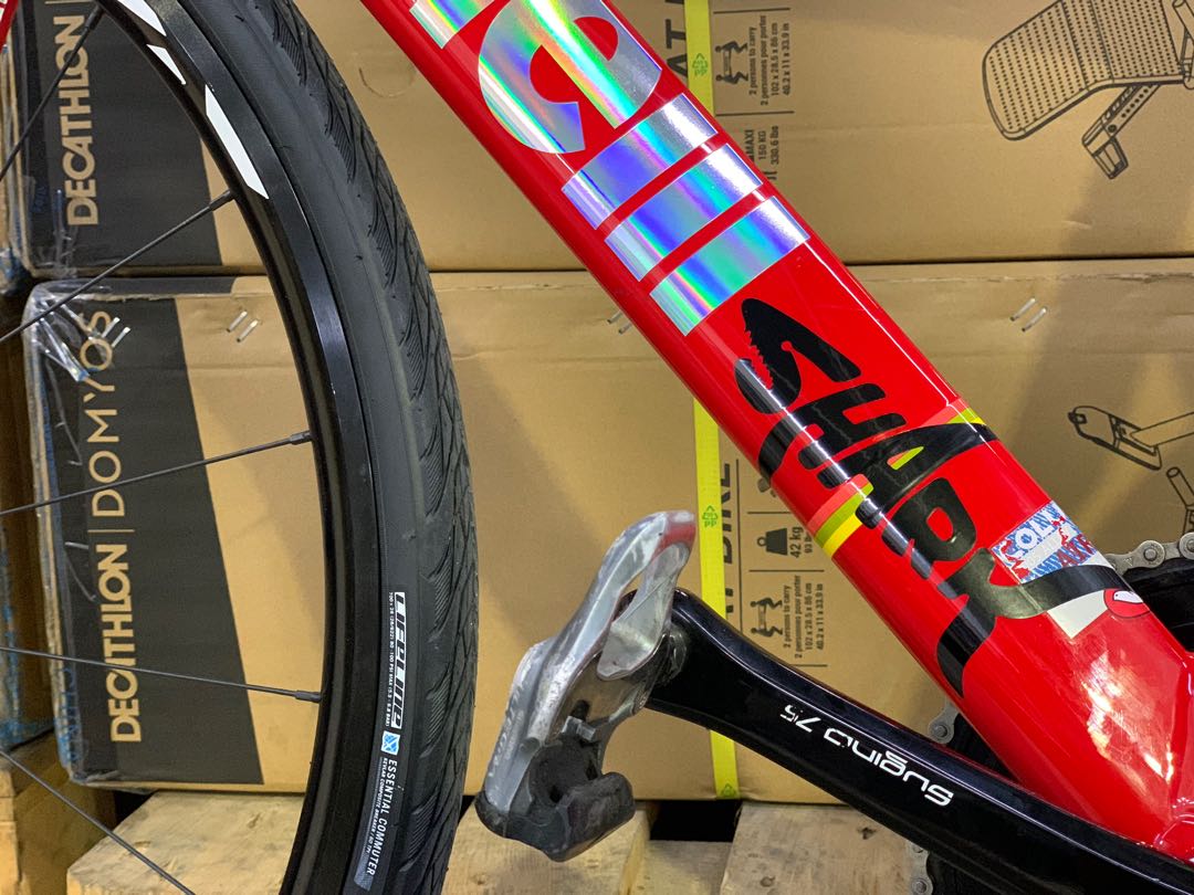 Cinelli vigorelli sales shark price