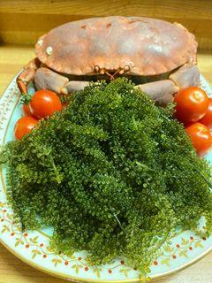 Lato / Arosep