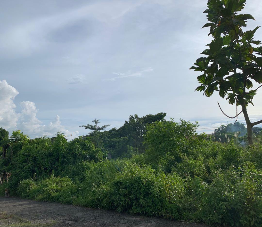 Lot in Congressional Model Homes, Caloocan, Property, For Sale, Lot on Carousell