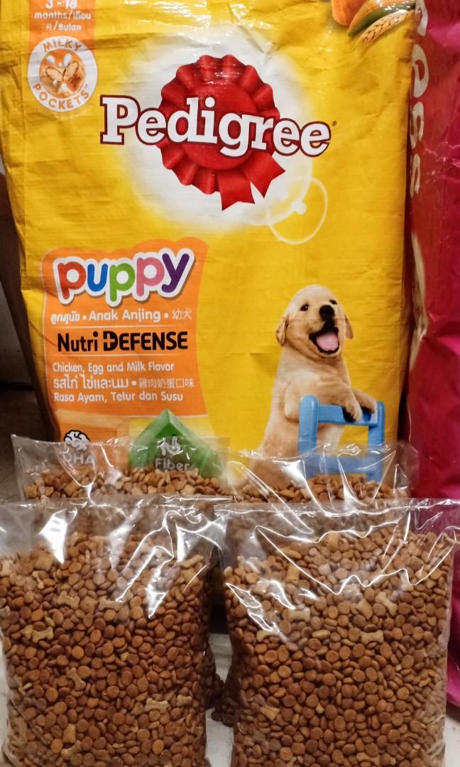 Pedigree for puppy price new arrivals